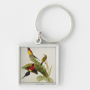 Nectarinia Gouldae Key Ring