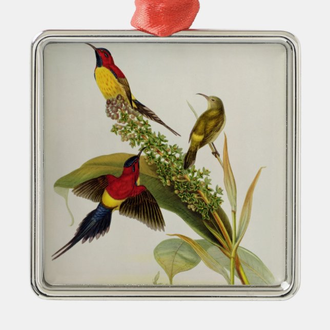 Nectarinia Gouldae Metal Tree Decoration (Front)