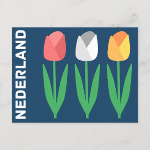 Nederland (Netherlands) Postcard