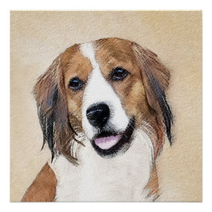 Nederlandse Kooikerhondje Painting - Dog Art Poster