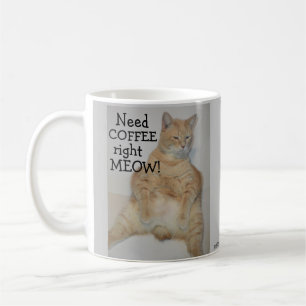 Need Coffee Right Meow! Fat Manx Cat Sitting Funny Coffee Mug