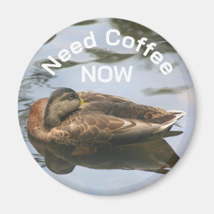 Need Coffee Sleepy Duck Funny  Magnet