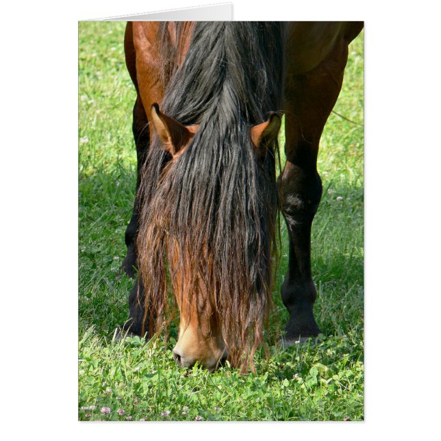 needing a haircut (Front)