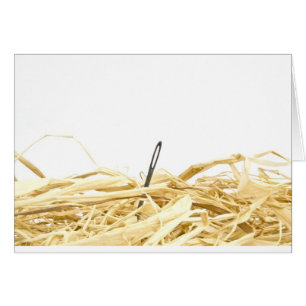 needle in a haystack