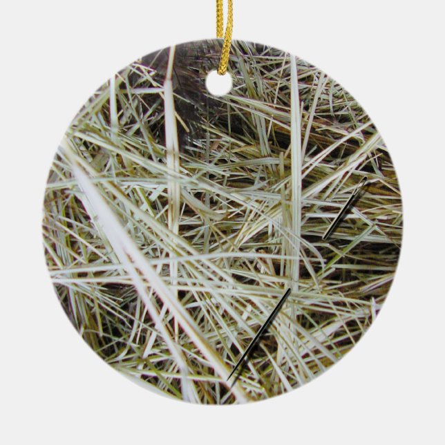 "needle in a haystack" 2 SIDED ornament (Front)