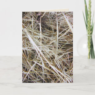 "needle in a haystack" greeting card