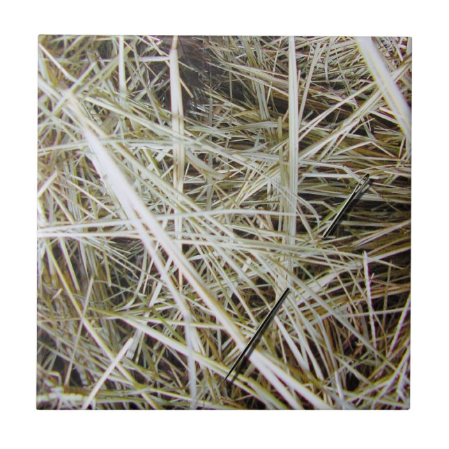 "needle in a haystack" Photo Tile (Front)