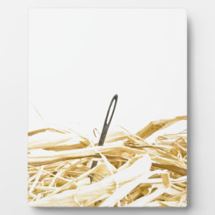 needle in a haystack plaque