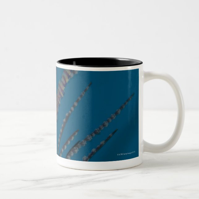 Needle shrimp (Tozeuma armatum) underwater Two-Tone Coffee Mug (Right)