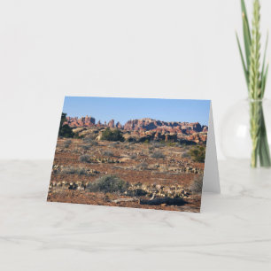Needles from Pothole Point Trail at Canyonlands Card