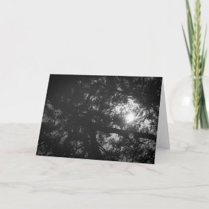 Neem Tree Reflection Card