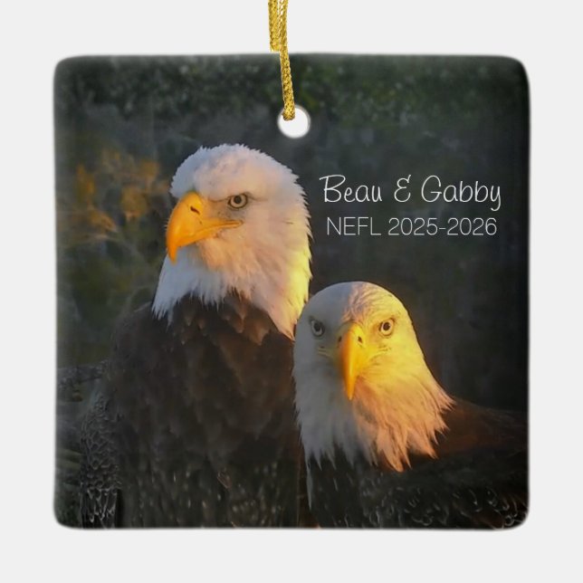 NEFL Beau & Gabby Ornament 2025/2026 (Front)