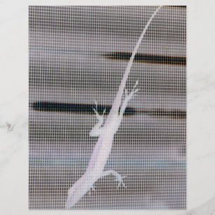 Negative image of a lizard on a window screen