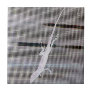 Negative image of a lizard on a window screen ceramic tile