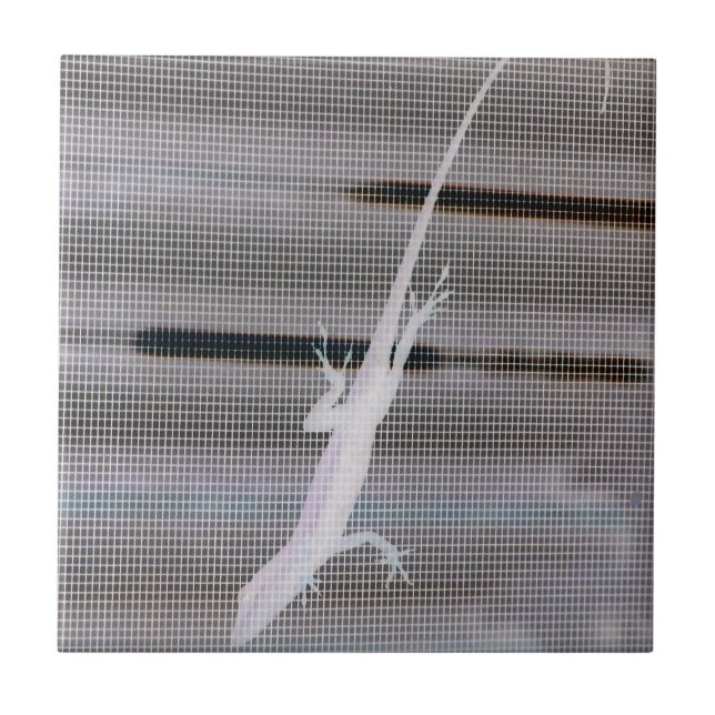 Negative image of a lizard on a window screen ceramic tile (Front)