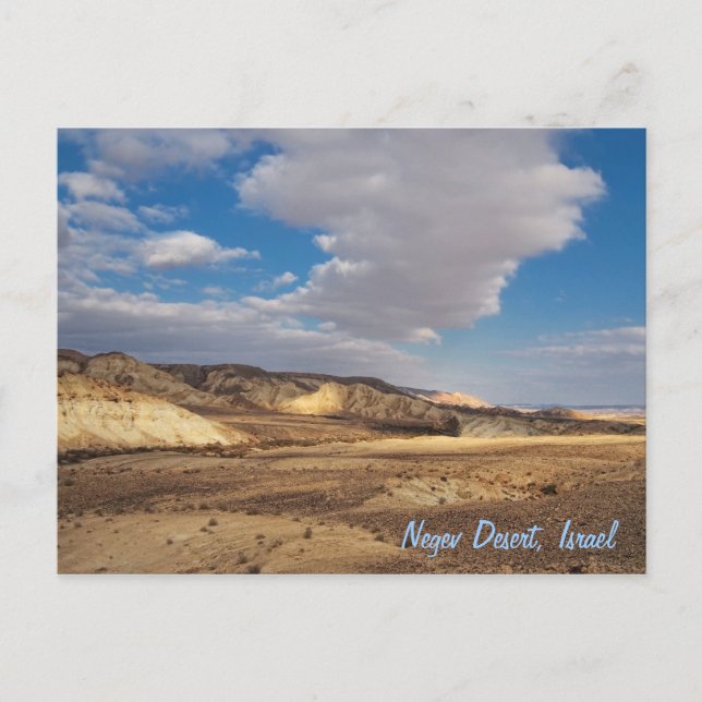 Negev Desert, Israel Postcard (Front)