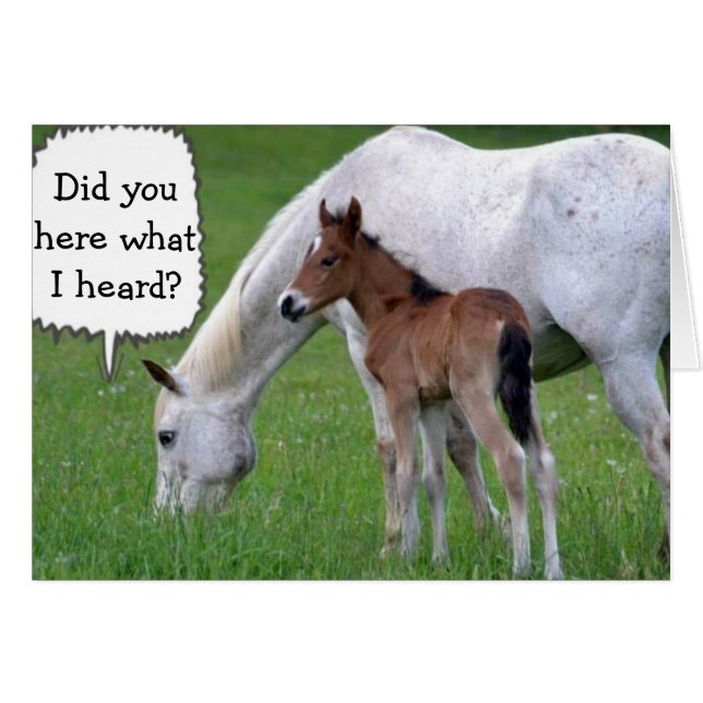 NEIGH YOU CAN'T BE "30" SAYS PONY AND HORSE (Front Horizontal)