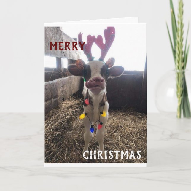 NEIGHBORS WISHED MERRY CHRISTMAS/HAPPY NEW YEAR HOLIDAY CARD (Front)