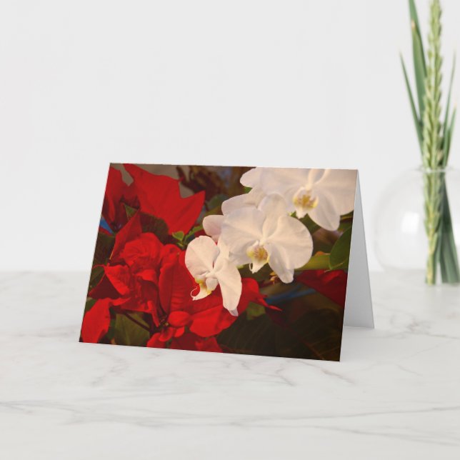 Neighbours Holiday Card (Front)