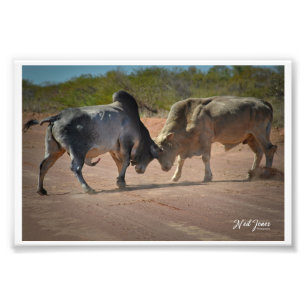 Neil Jones Photography - King of the Road. Photo Print