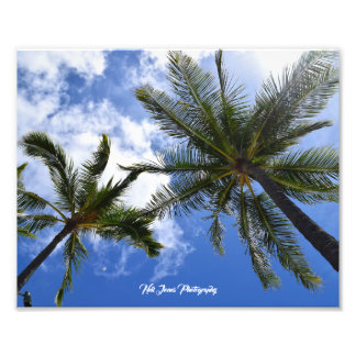 Neil Jones Photography - Palms on Waikiki Beach. Photo Print