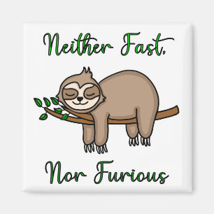 Neither Fast nor Furious Lazy Sloth on Tree Branch Magnet