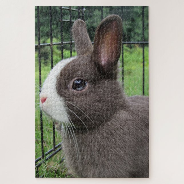 Neitherland Dwarf Pet Bunny Rabbit Jigsaw Puzzle (Vertical)