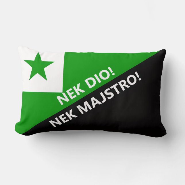 Nek dio nek majstro lumbar cushion (Front)