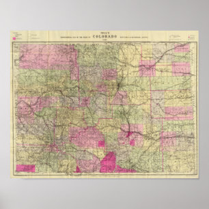 Nell's Topographical Map of Colorado Poster