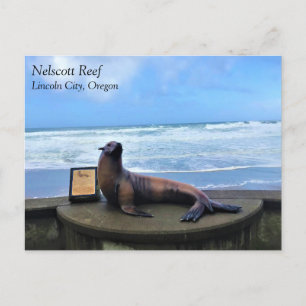 Nelscott Reef, Lincoln City, Oregon Postcard
