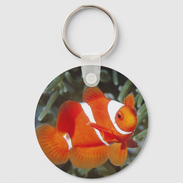 nemo fish key ring (Front)
