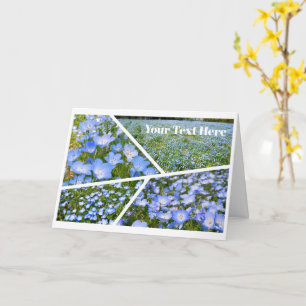 NEMOPHILA(Baby Blue Eyes) Card
