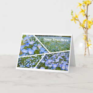 NEMOPHILA(Baby Blue Eyes) Card