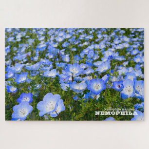 NEMOPHILA(Baby Blue Eyes) Jigsaw Puzzle