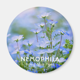 NEMOPHILA（Baby Blue Eyes） Magnet