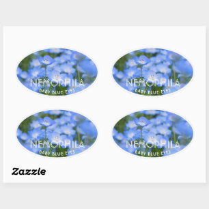 NEMOPHILA(Baby Blue Eyes) Oval Sticker