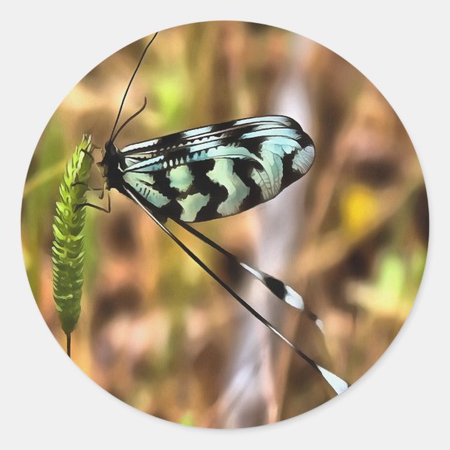 Nemoptera bipennis Spoon-Winged Insect Art Classic Round Sticker (Front)