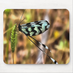 Nemoptera bipennis Spoon-Winged Insect Art Mouse Pad