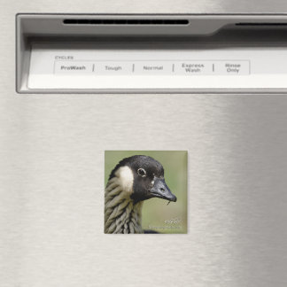 Nene Hawaiian Goose Magnet