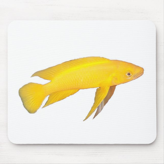 Neolamprologus leleupi mouse pad (Front)