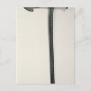 Neolithic axe, 2000-1800 BC Postcard