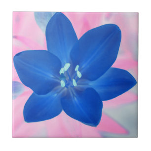 Neon Blue Lily Flower Pink Background Ceramic Tile