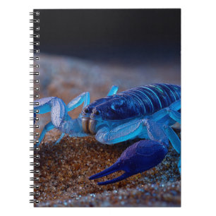 Neon Blue Scorpion Notebook