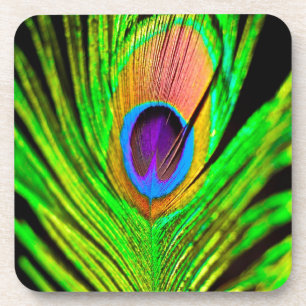 Neon Colours Peacock Feather Coaster