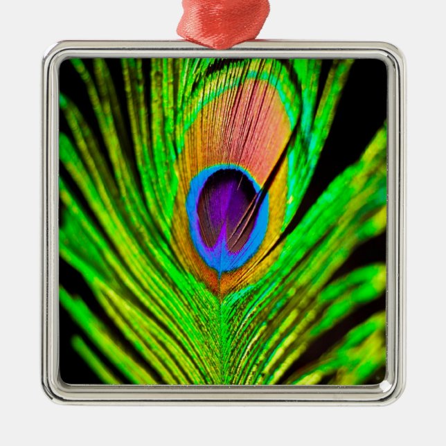 Neon Colours Peacock Feather Metal Tree Decoration (Front)