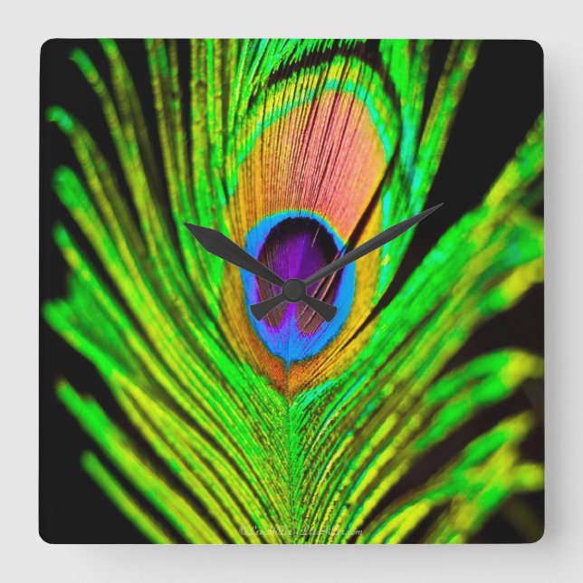 Neon Colours Peacock Feather Square Wall Clock (Front)