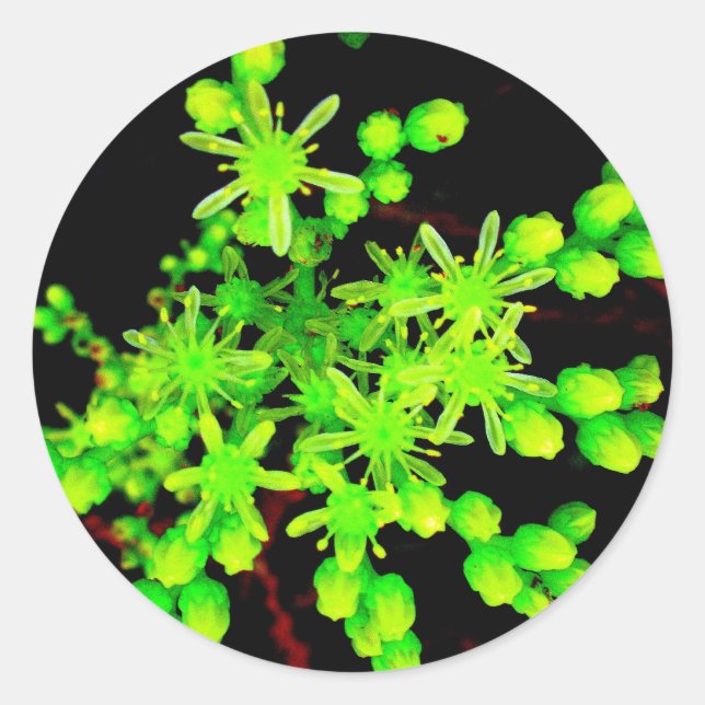 Neon Flower Classic Round Sticker (Front)