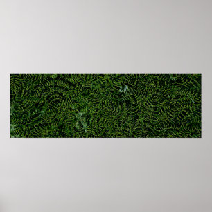 Neon Green Ferns poster by J.W. Fatherree.