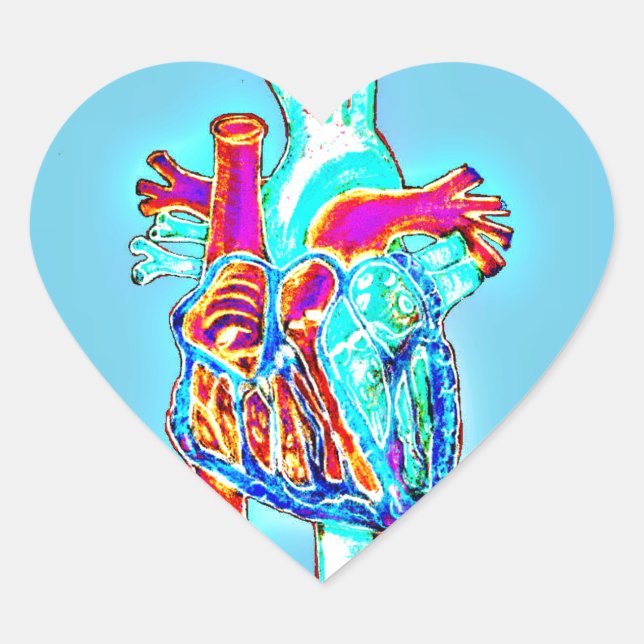 Neon Hand Drawn Anatomical Heart Heart Sticker (Front)