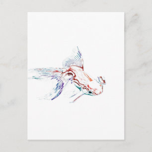 Neon Multicolor Rainbow Fish/Goldfish/Koi Postcard